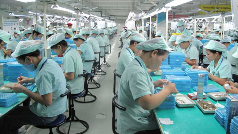 Nhu cầu tuyển dụng lớn, đa dạng ngành nghề